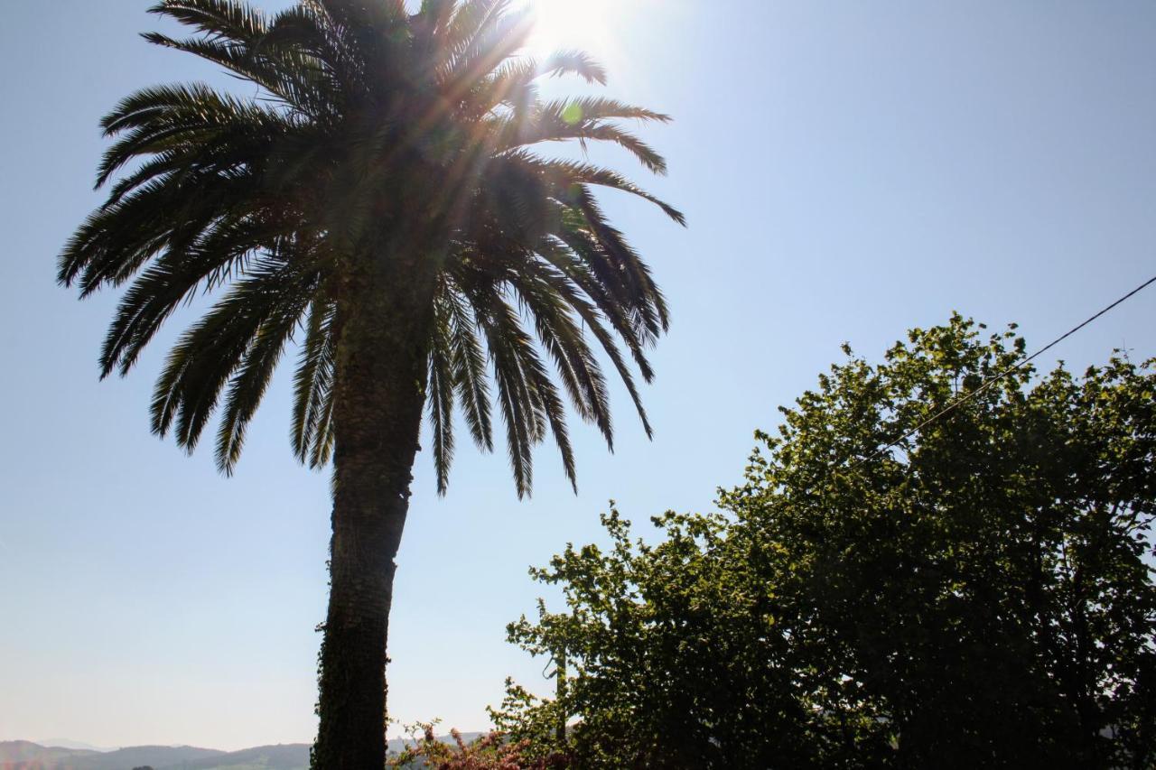 Casa La Palmera Gormazo المظهر الخارجي الصورة